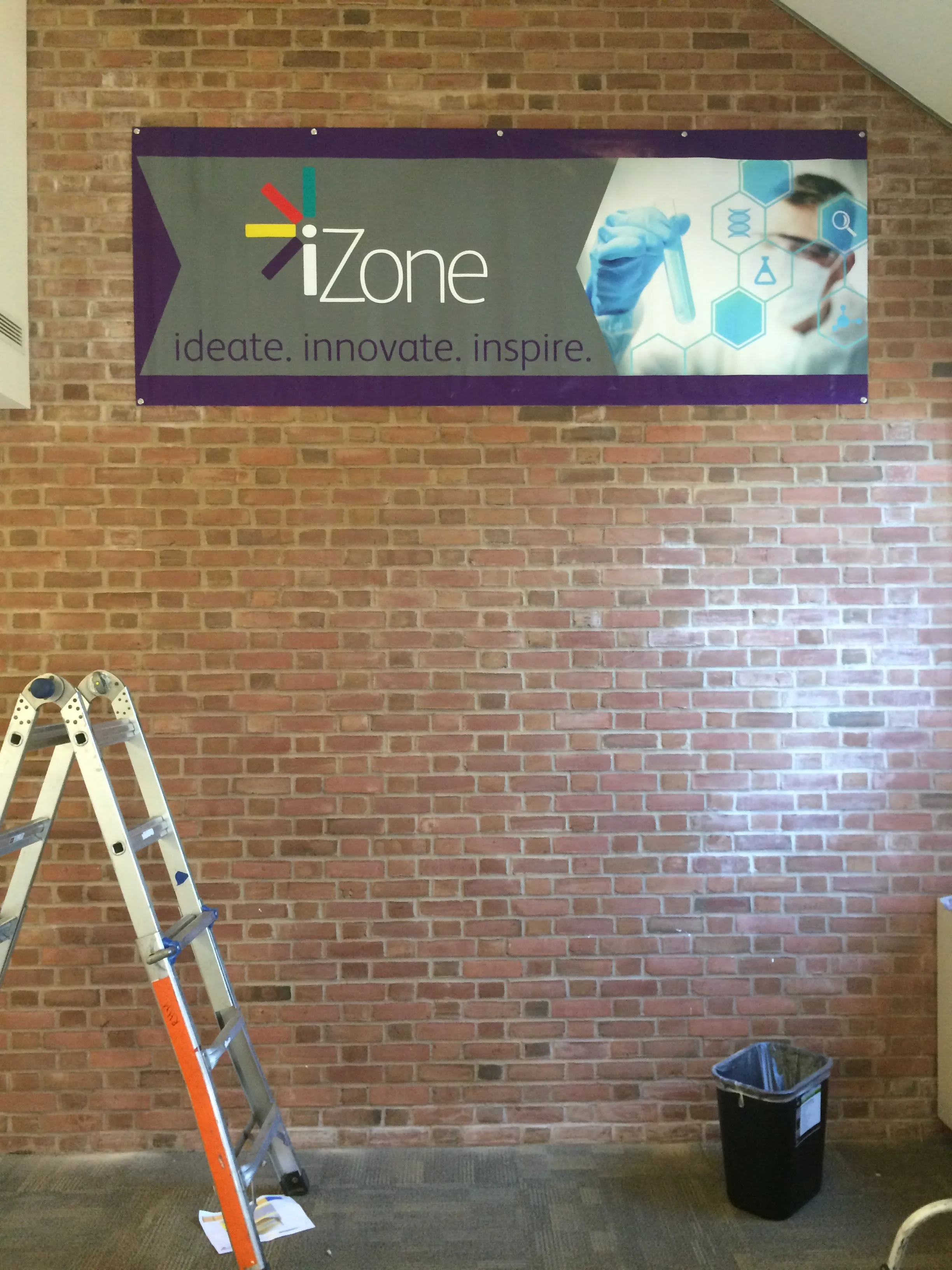 iZone 8