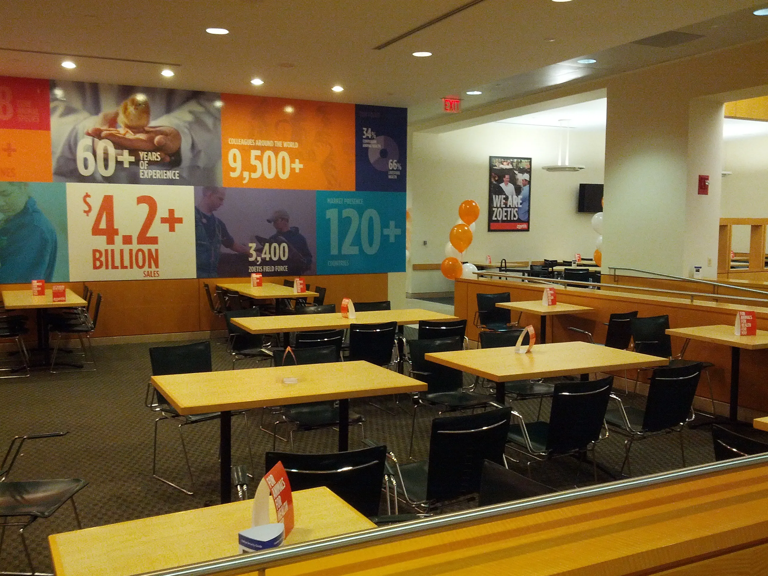 IPO Launch 15